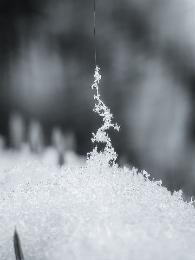 Photograph by Татьяна Котова