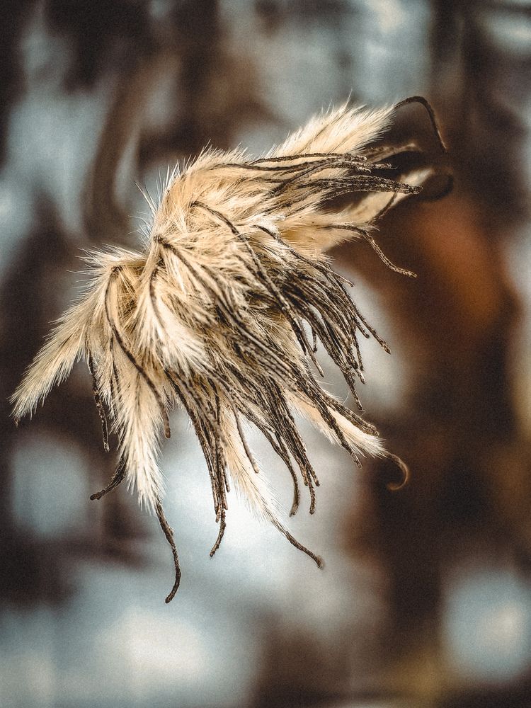 Photograph by Татьяна Котова