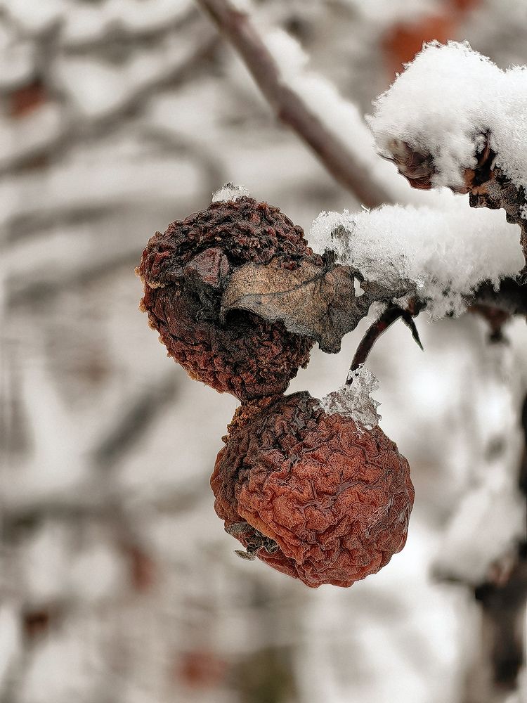 Photograph by Татьяна Котова