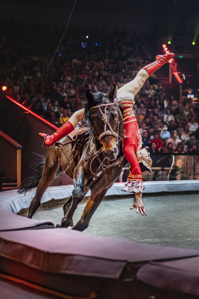 Photograph by Ольга Пачина