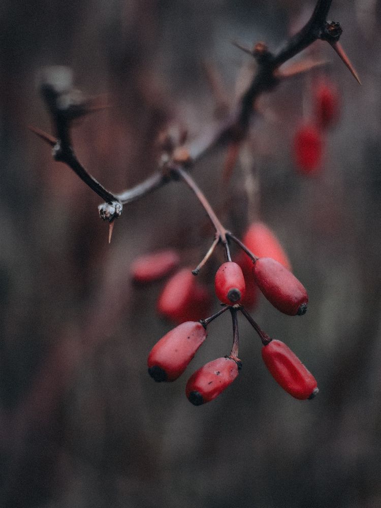 Photograph by Татьяна Котова