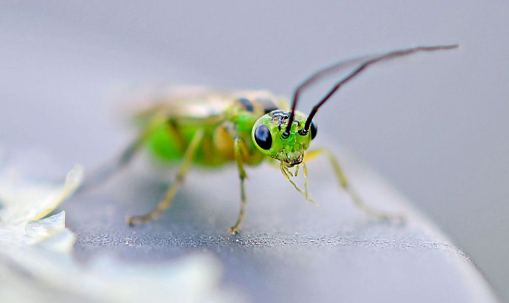 Photograph by Marjo Steffen