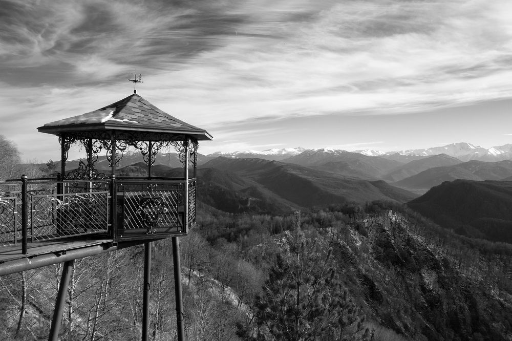 Photograph by Эллона