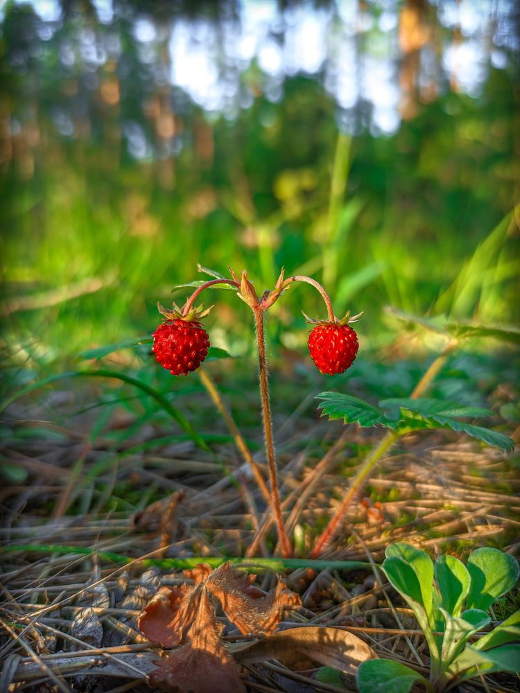 Фотография автора Александр Хухлов