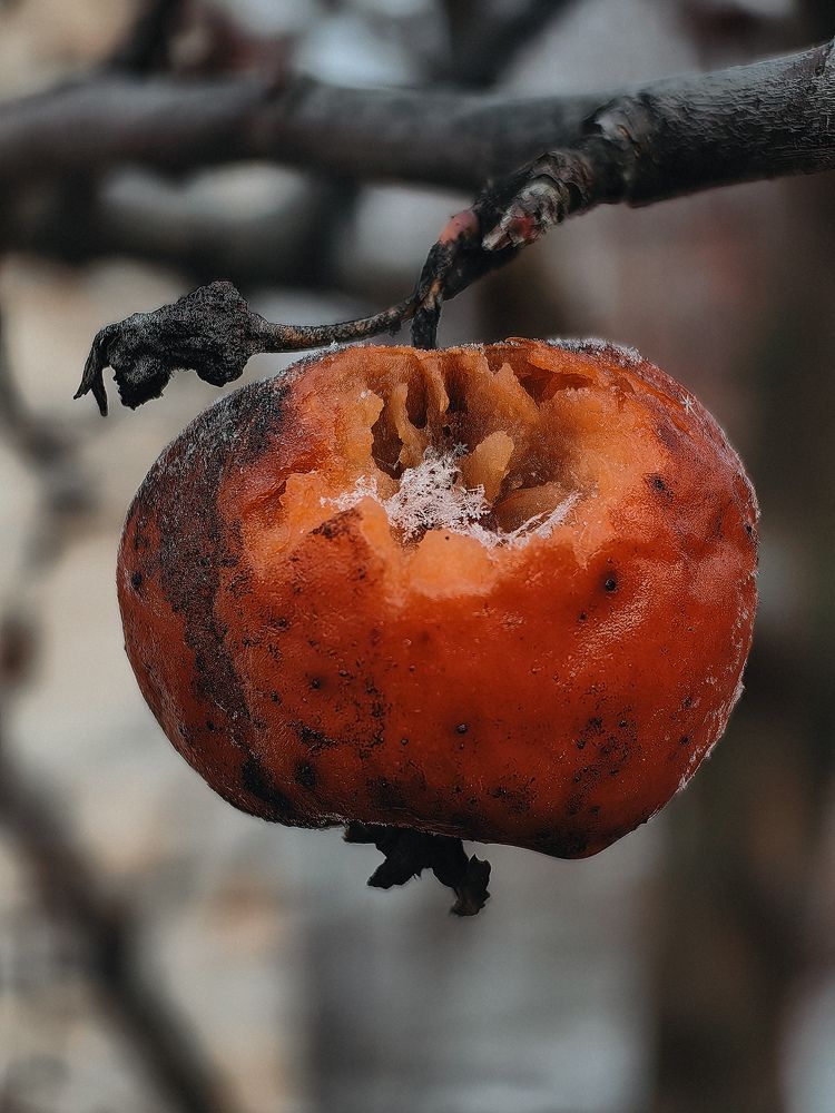 Photograph by Татьяна Котова