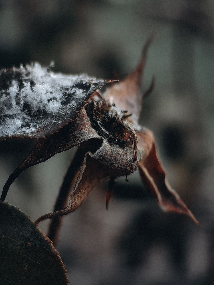 Photograph by Татьяна Котова