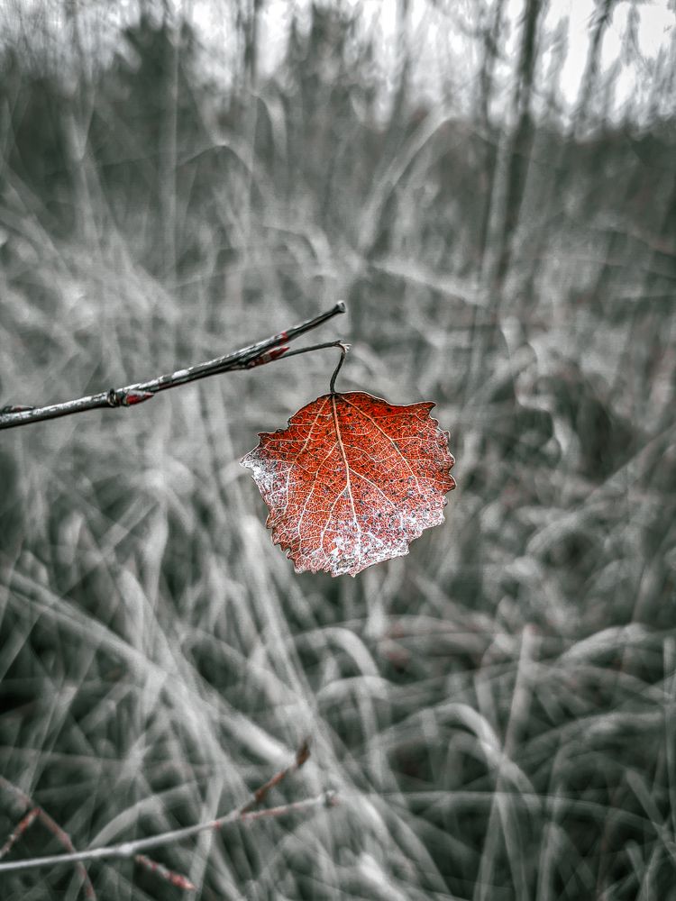 Фотография автора Александр Хухлов