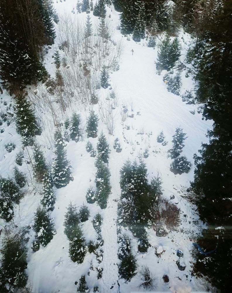 Фотография автора Ankit Gupta