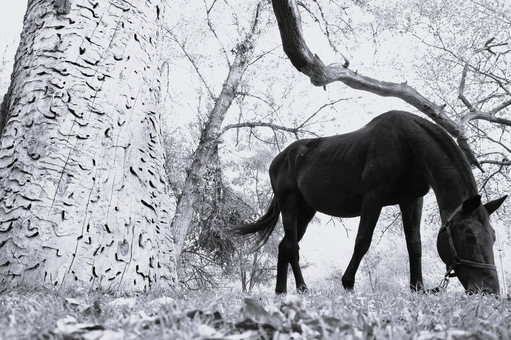 Фотография автора Евгений