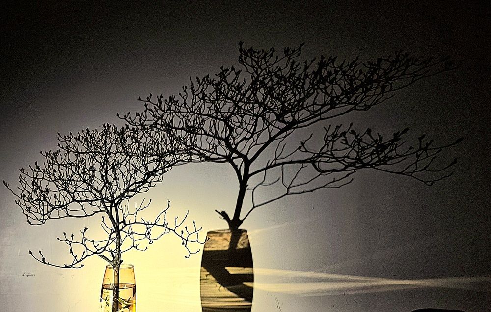 Photograph by Мария Стремина