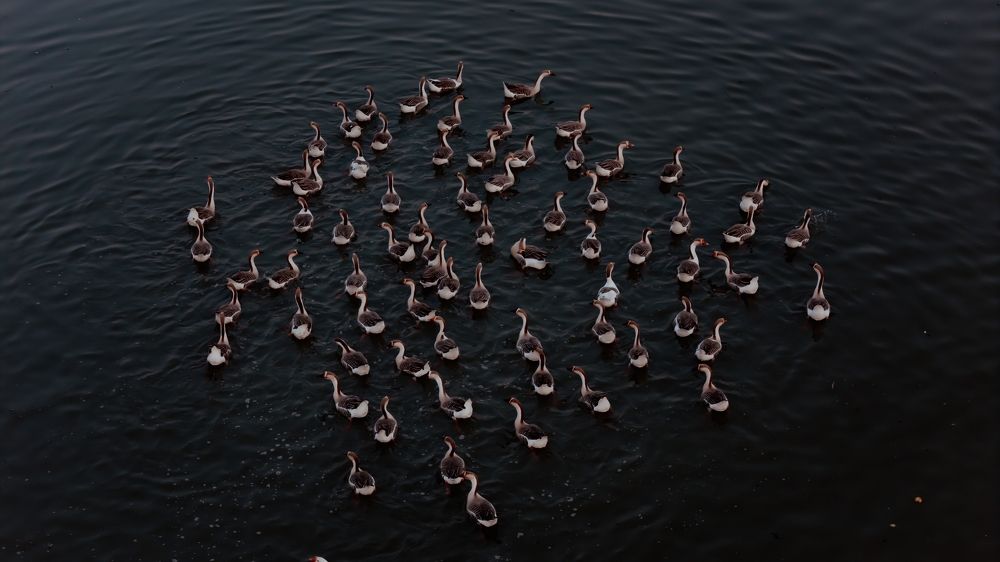 Photograph by Umer Nazir