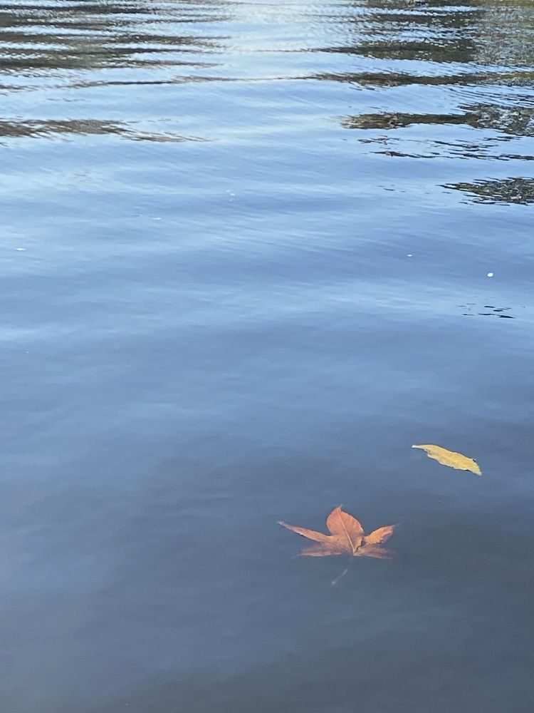 Photograph by Luisa manzano