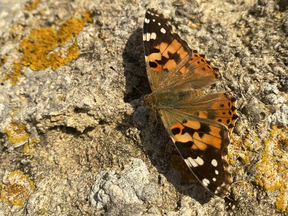 Photograph by Luisa manzano