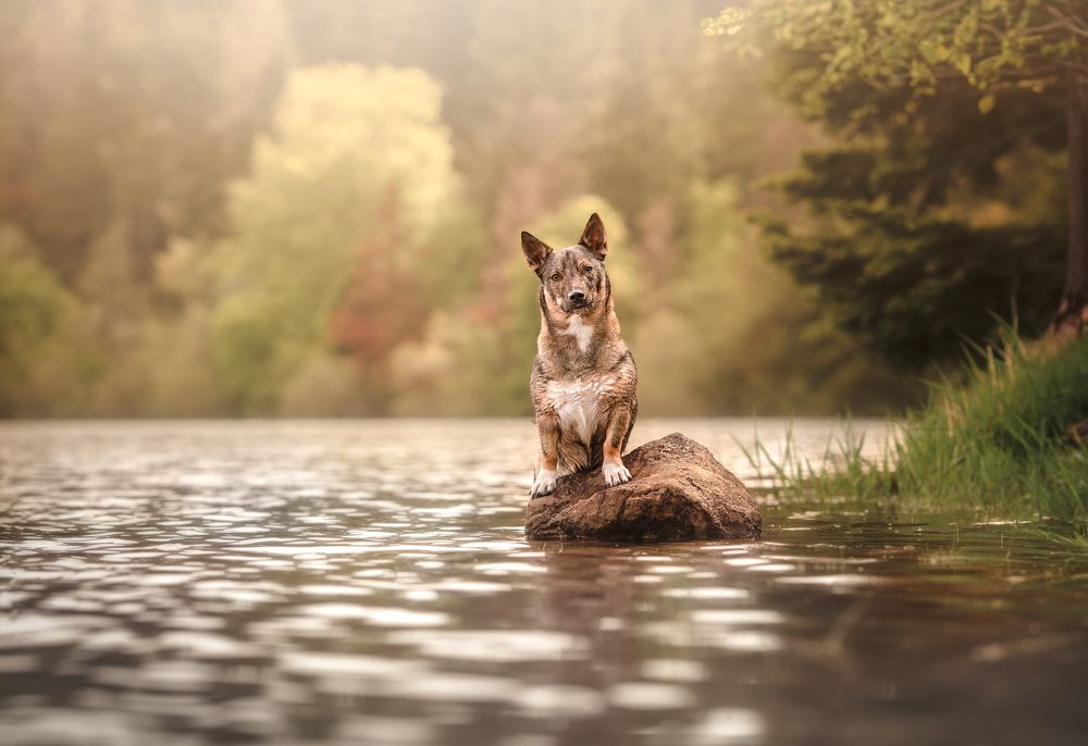 Photograph by Laura Quintanel