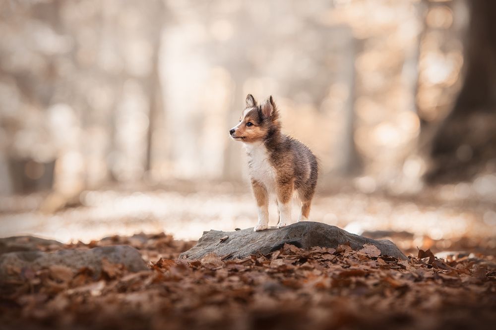 Photograph by Laura Quintanel