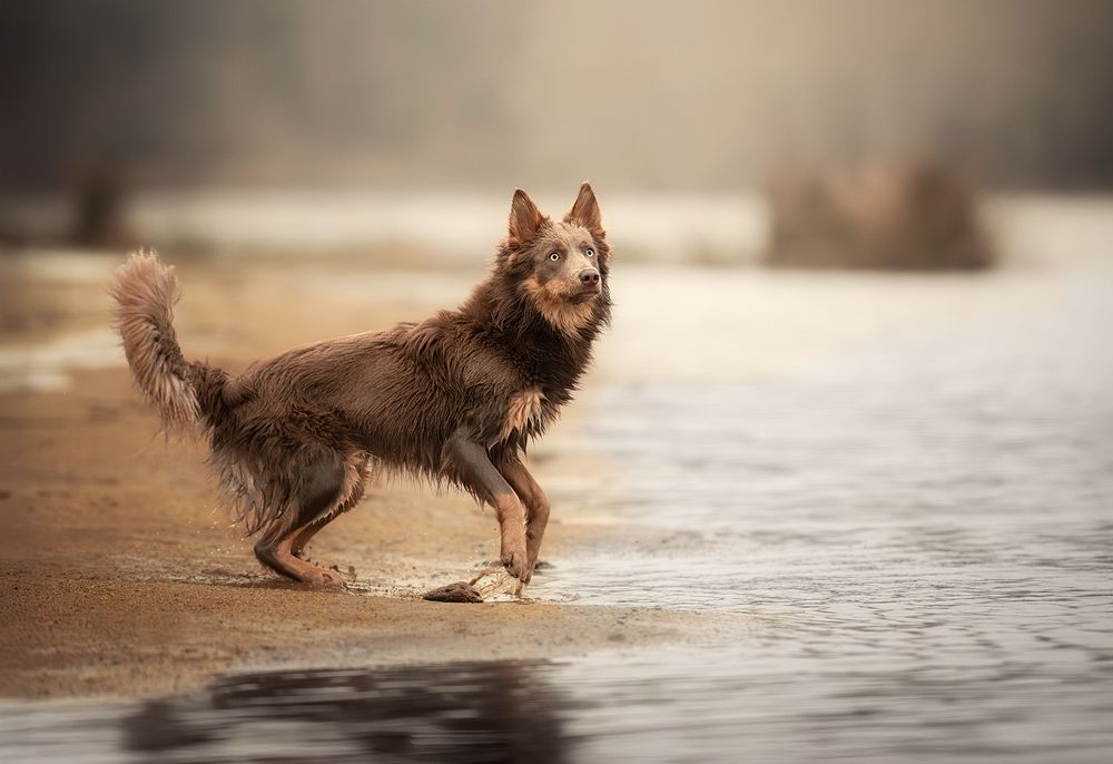 Photograph by Laura Quintanel