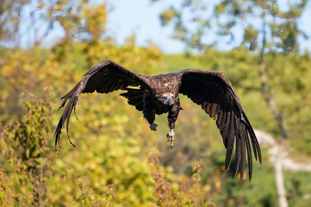 Photograph by Татьяна Жеребцова