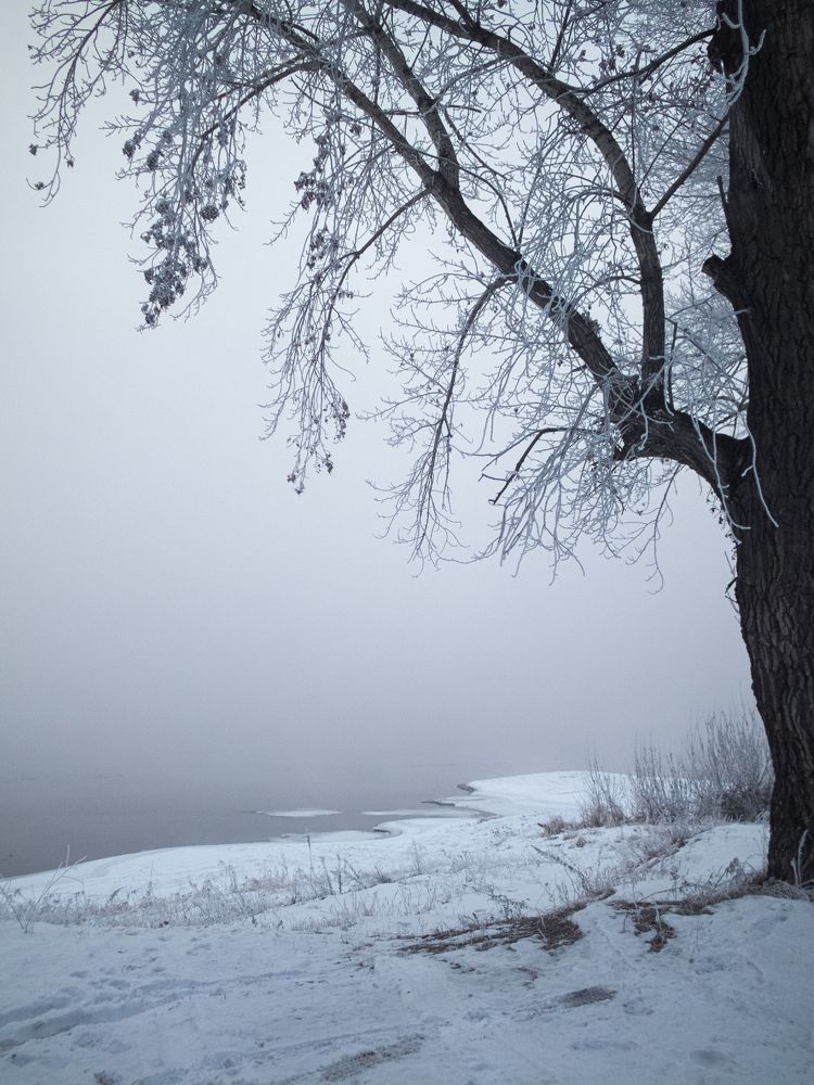 Photograph by Анна Ермилова