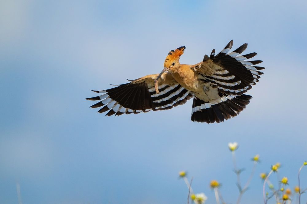 Photograph by Татьяна Жеребцова