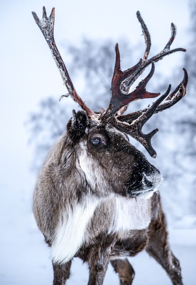 Photograph by Marius Karlsson