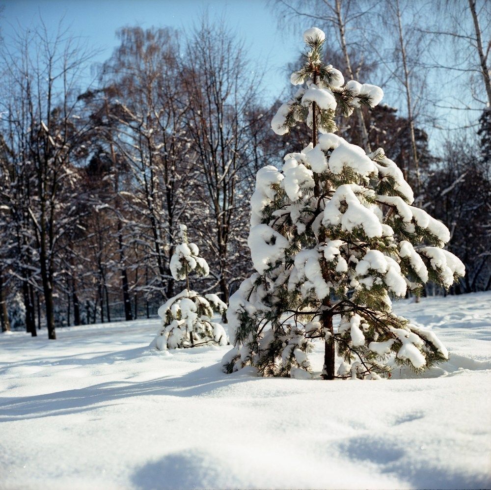 Photograph by Игорь Двойных