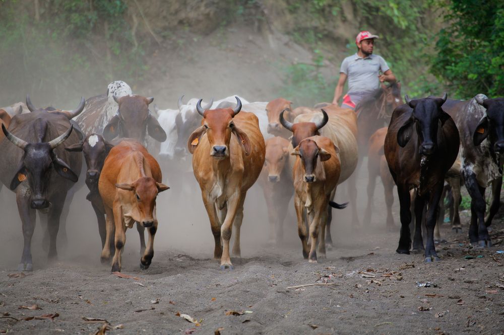 Photograph by Евфросиния Капустина