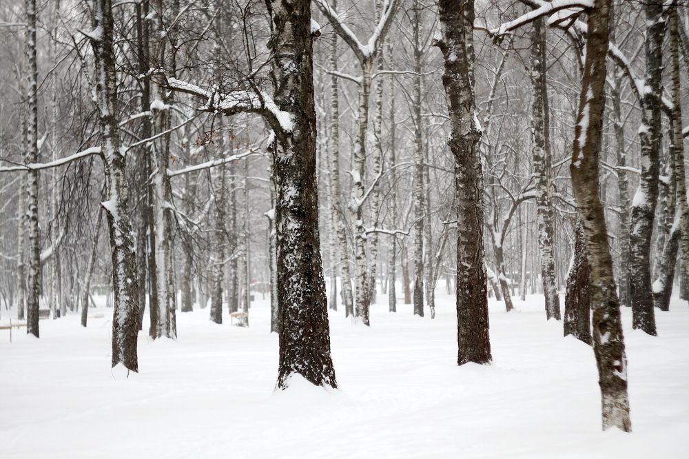 Photograph by Galust Arabyan