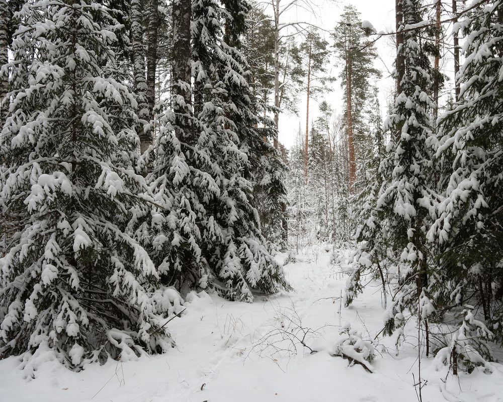 Photograph by Юлия Морозова