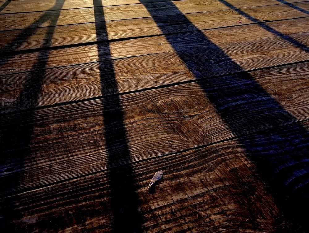 Photograph by Jelena Žarevac