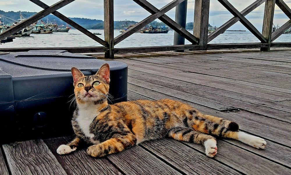 Photograph by FELOMINA ENDEREZ