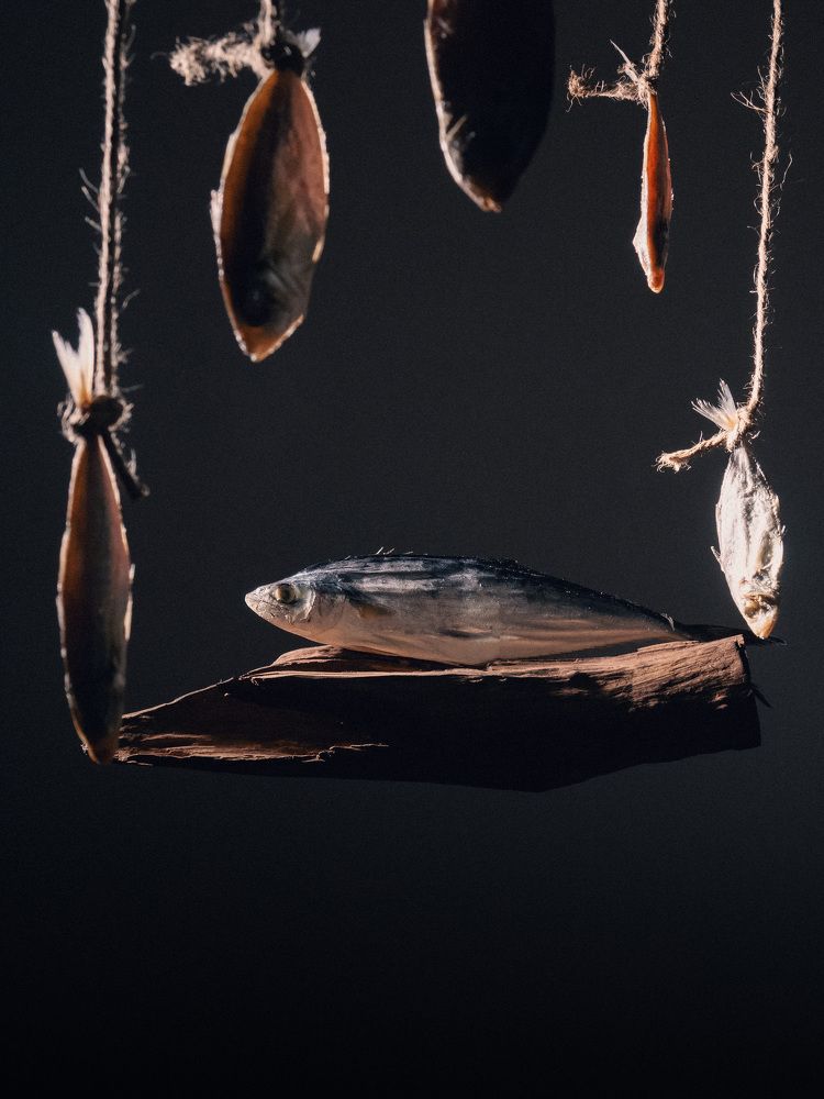 Photograph by The Cazpian