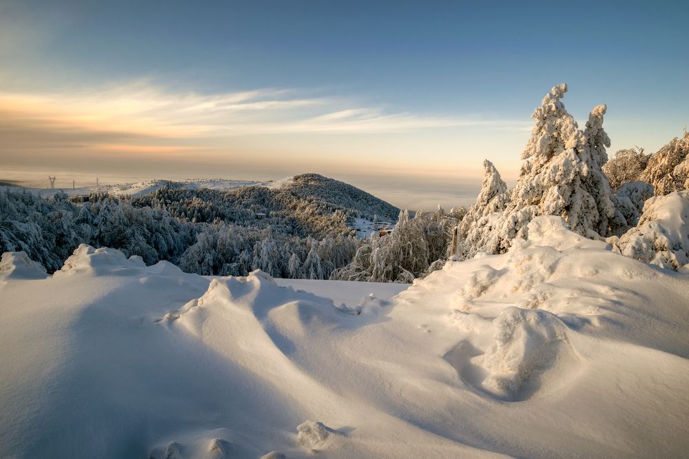 Photograph by Plamen Petkov