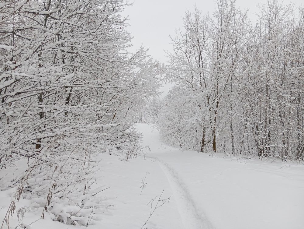 Photograph by Артем Гибадуллин