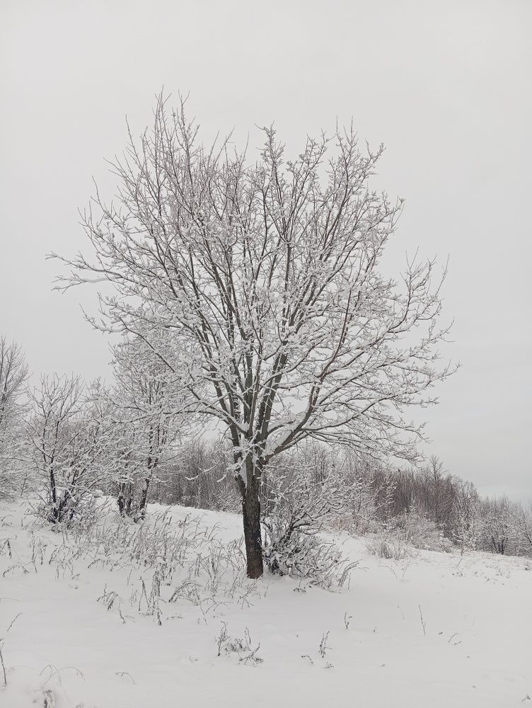 Photograph by Артем Гибадуллин