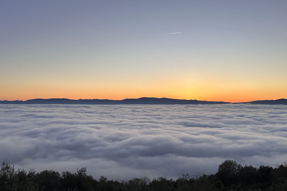 Photograph by David Spiel