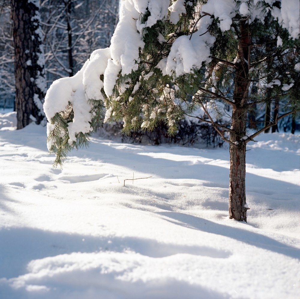 Photograph by Игорь Двойных