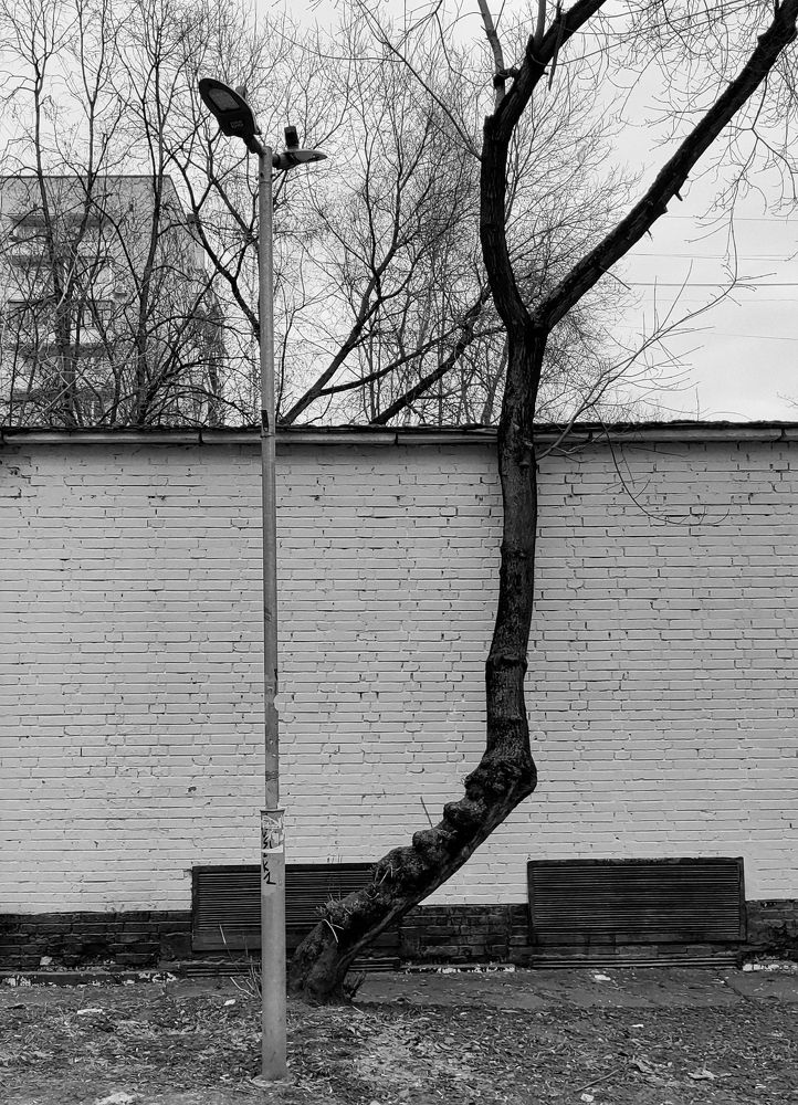 Photograph by Михаил Янкин