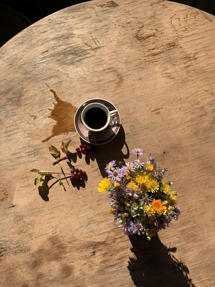 Photograph by Anastasiia