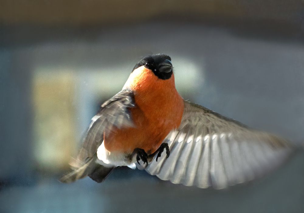 Photograph by Юрий Клишин