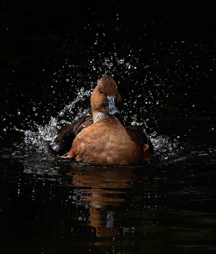 Photograph by Isabelle