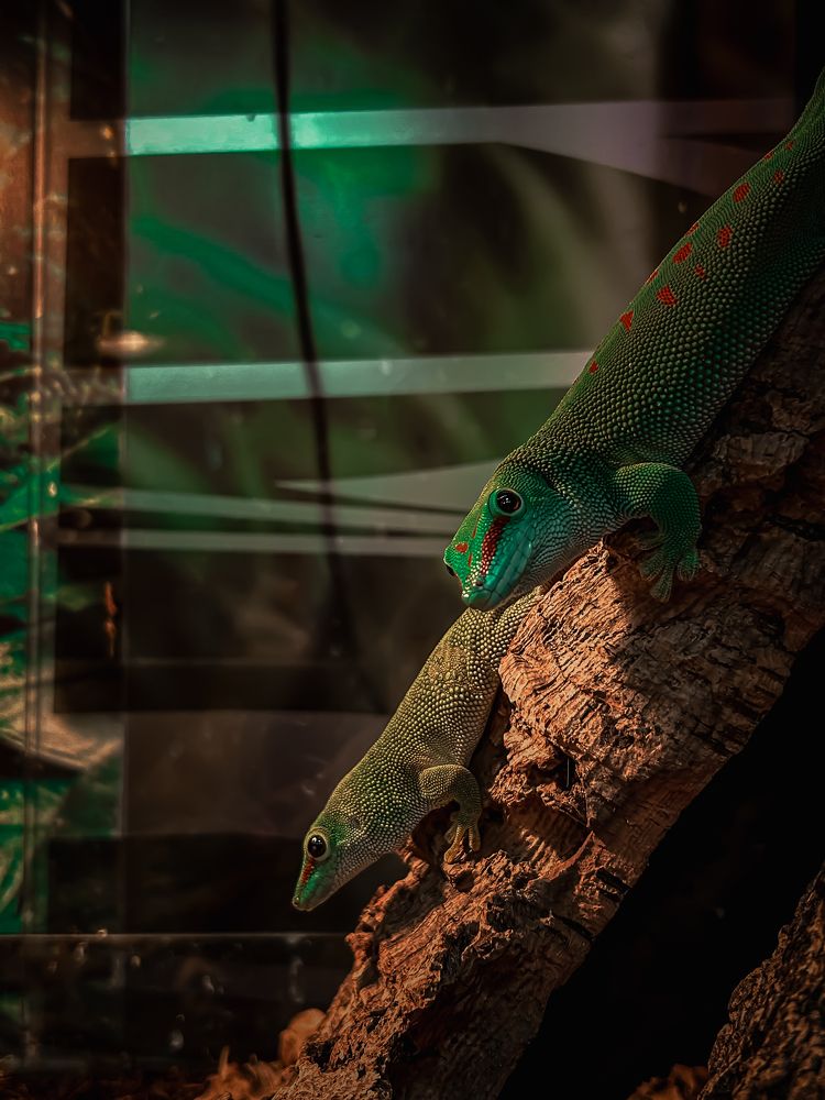 Photograph by Константин Шипицын