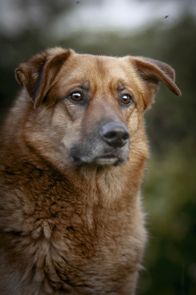 Photograph by Aleksandr Solovev