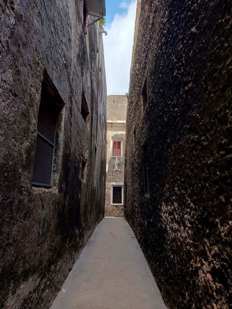 Photograph by Trivet Antony