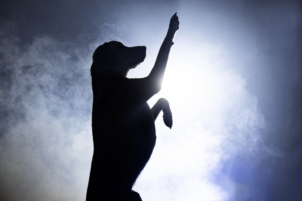 Фотография автора Coralie Mänche