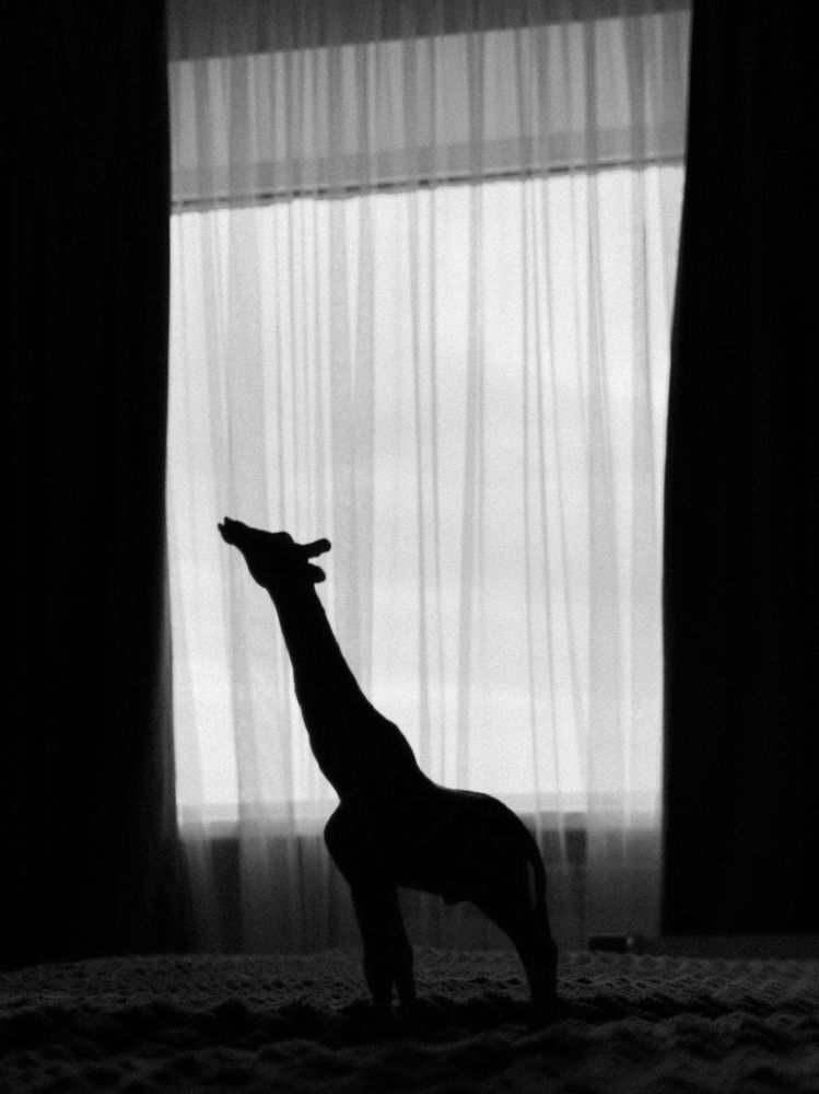 Photograph by Анна Голубцова