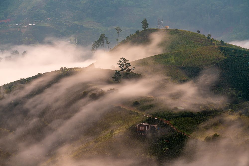 Photograph by Hưng Ba