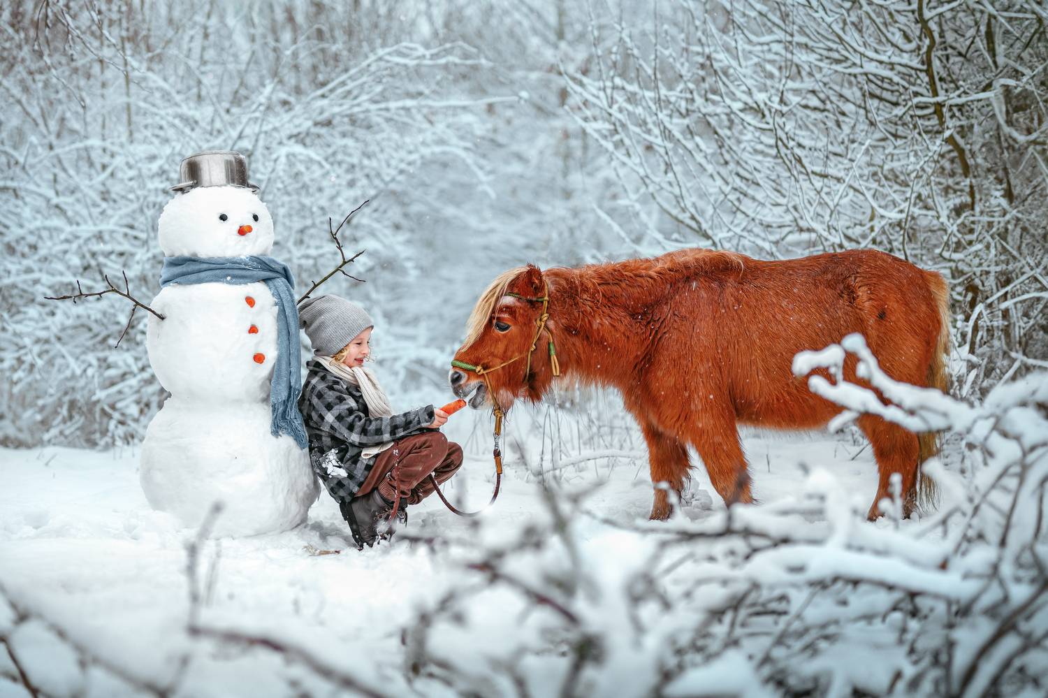 Фотография #11748347