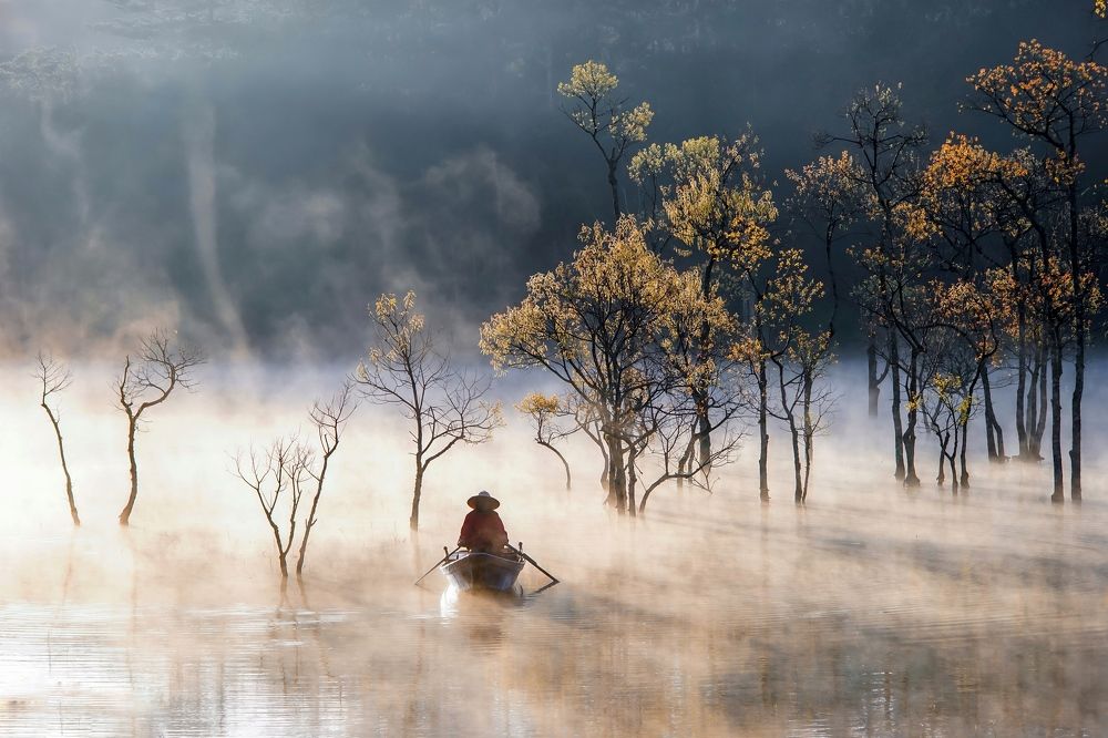 Photograph by Hưng Ba