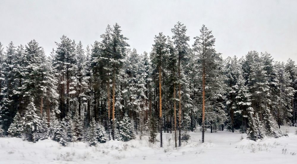 Фотография автора Дмитрий Климов
