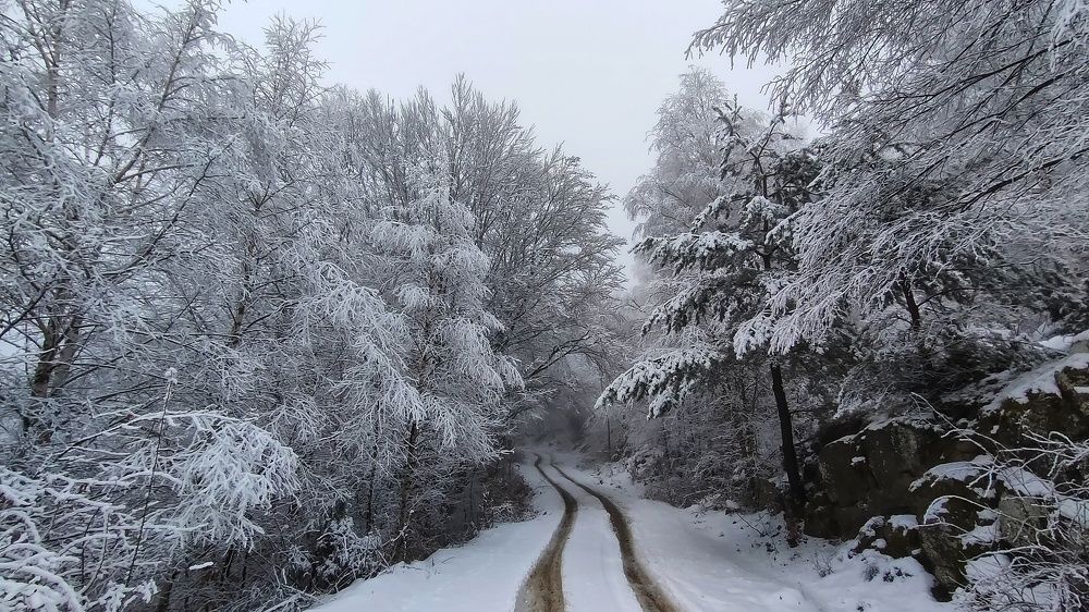 Фотография автора axilleas kampouris